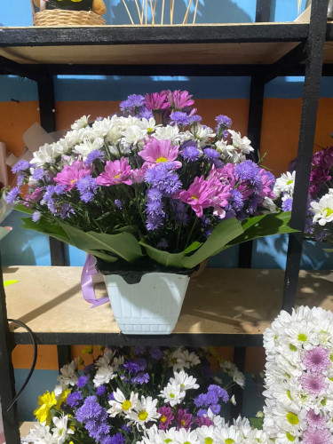 Toko Bunga Terbesar King Florist gerejakatedralsantamariapalangkaraya – Pilihan Utama Florist Profes